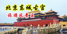国产大片操逼视频中国北京-东城古宫旅游风景区
